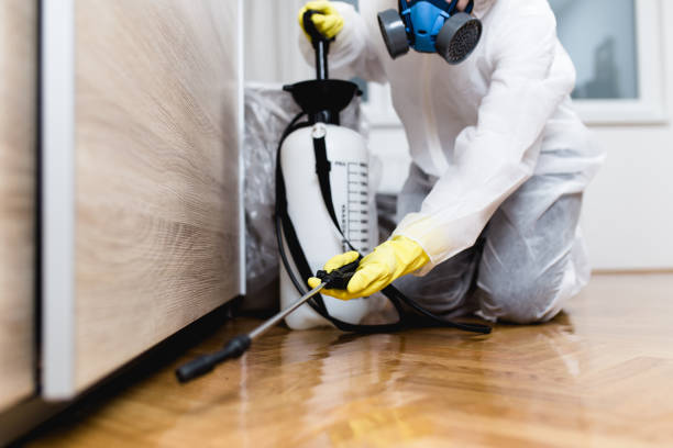 Best Best Pest Control Companies  in Johnstown, CO