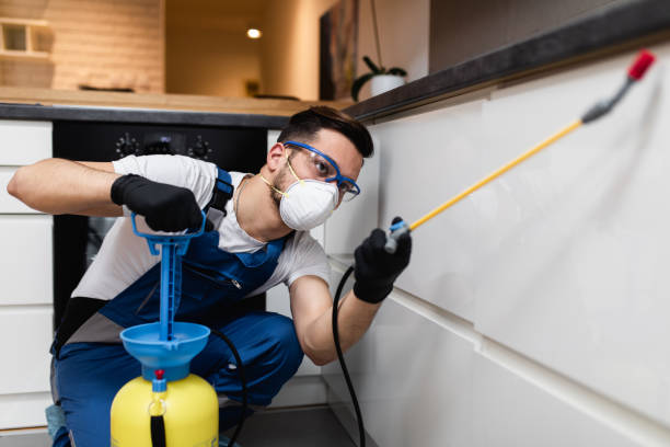 Best Pest Inspection Near Me  in Johnstown, CO