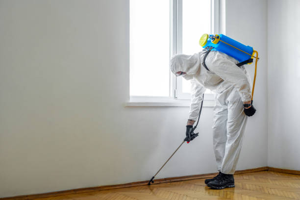 Best Rat Extermination Near Me  in Johnstown, CO