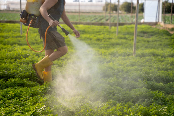 Best Mosquito Control Services  in Johnstown, CO