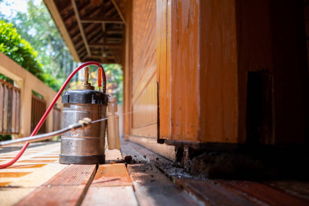 Best Best Pest Control Companies  in Johnstown, CO