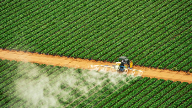 Best Affordable Exterminators  in Johnstown, CO