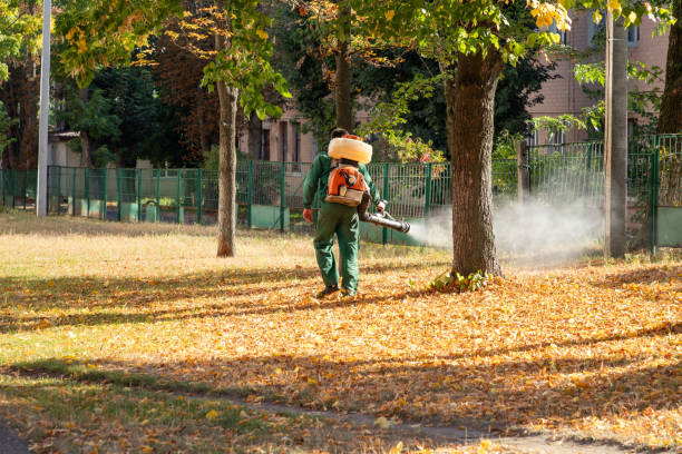 Best Affordable Pest Control Services  in Johnstown, CO