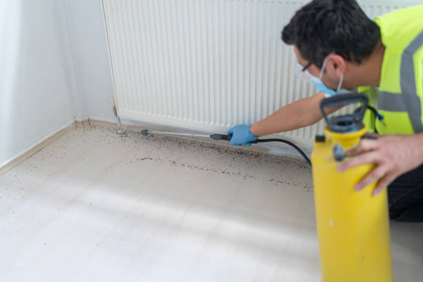 Best Pest Removal Services  in Johnstown, CO