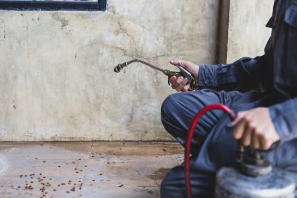 Best Termite Control Services  in Johnstown, CO
